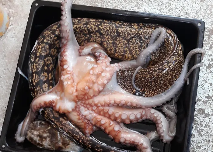 Vela E Bardhe 山林小屋 Dhërmi