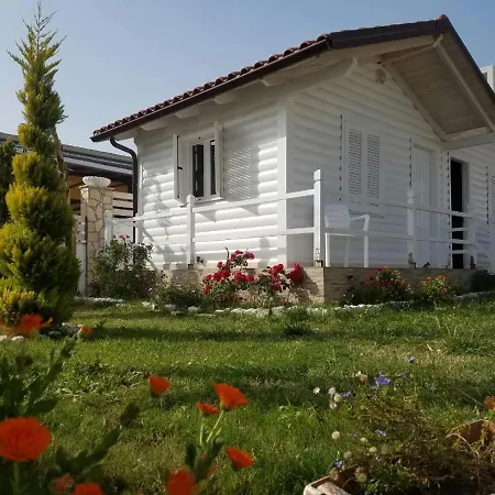 Vela E Bardhe Dhërmi