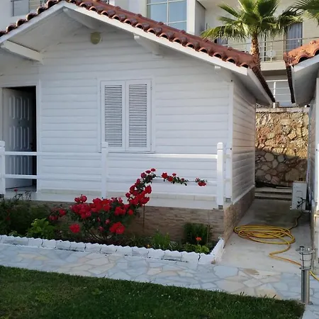 Orman Evi Vela E Bardhe *