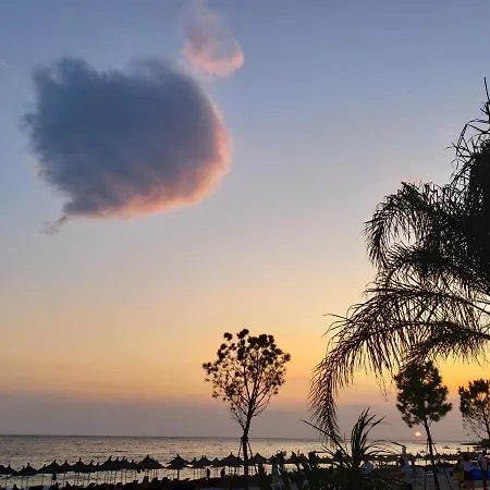 Orman Evi Vela E Bardhe *