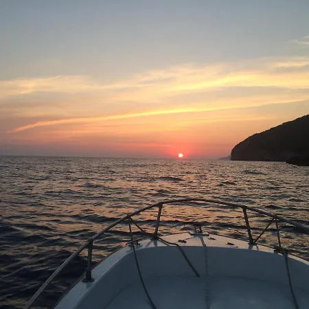 Vela E Bardhe Orman Evi