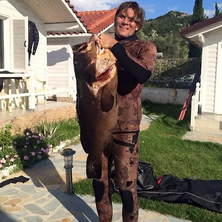 Vela E Bardhe אכסניה *