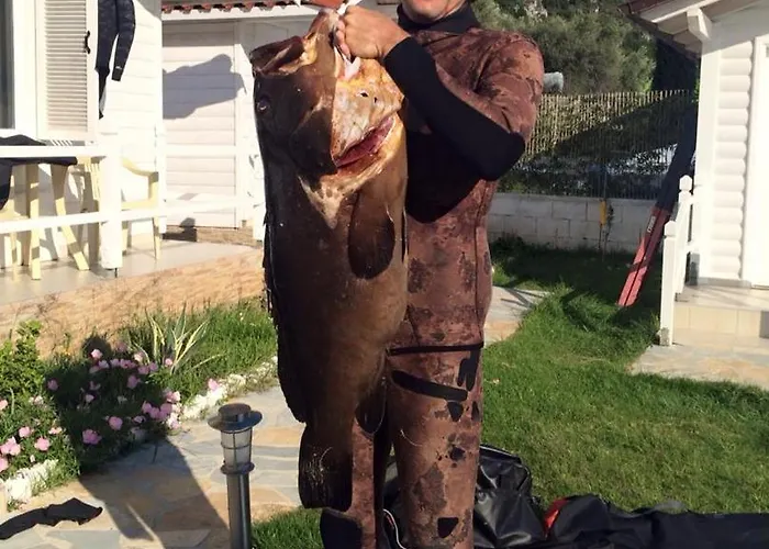 Vela E Bardhe Jaktstuga *